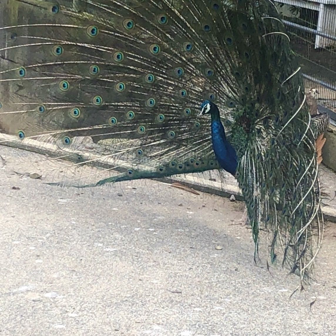 第５８回：大崎自然公園