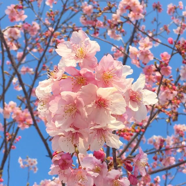 3月1日（木）今日の一コマ