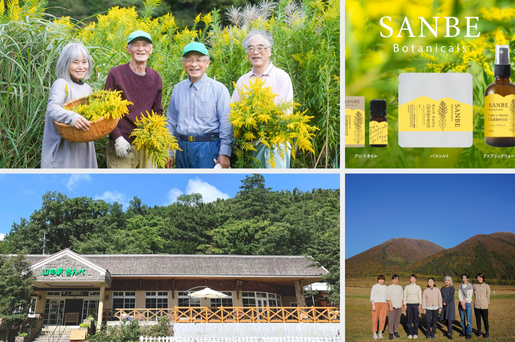 嫌われ者「セイタカワダチソウ」に新たな価値を（島根県）／株式会社necco 梶谷美由紀さん