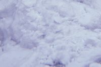 3月28日 イマーシブラザーズ