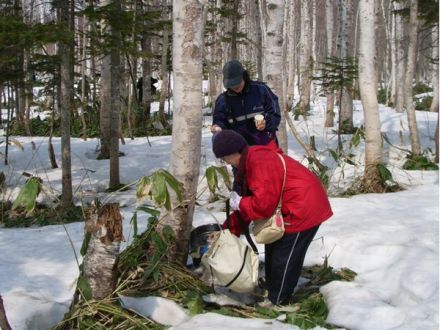 街フェス・オン・サンデー