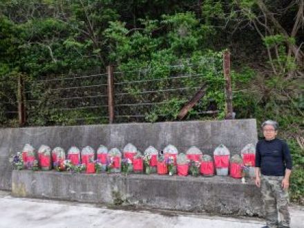 Vol.58 伊吹島　島四国お迎え準備