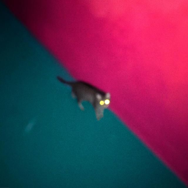 ハピモニがおすすめするトラック『おすトラ』！今週は・・・