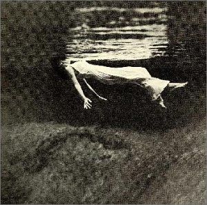 2015年2月10日（火）特集