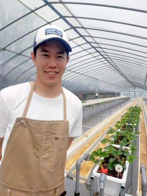 お宝ファイルNO.128　イチゴボーイ永野緑さん