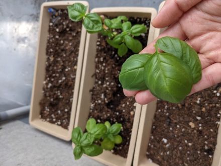 8月25日（水）今日の1コマ