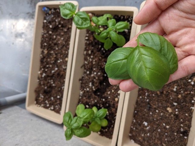 8月25日（水）今日の1コマ