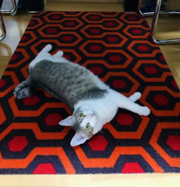 1月19日（火）　今日の1コマ