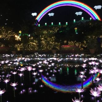 10月24日（火） 今日のメニューは？