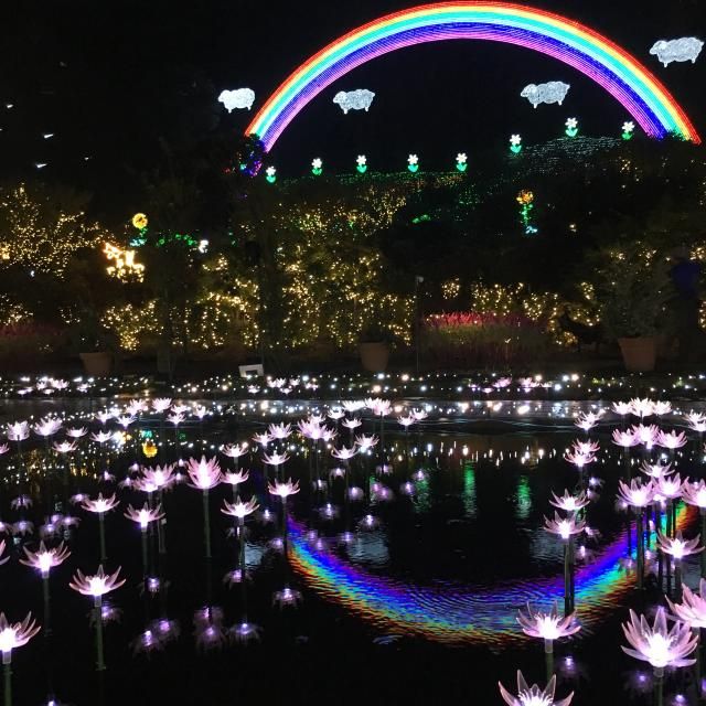 10月24日（火） 今日のメニューは？