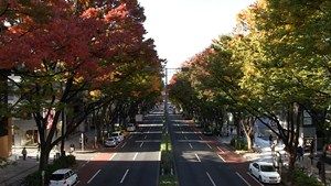 東京発どこ行くツアー　～青山界隈歴史探訪～