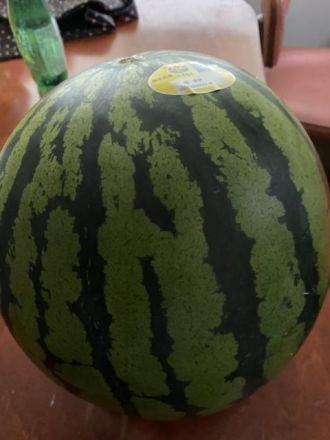 斉藤リョーツのいただき！SUIKA