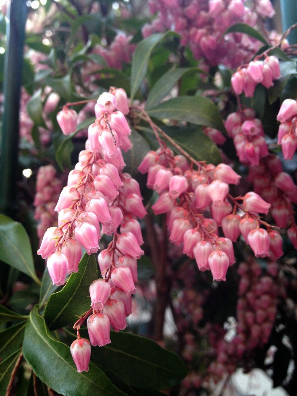 4月8日（水）今日の1コマ