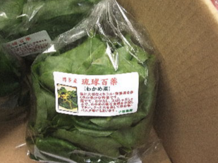 「めずらしい味のする葉っぱ」特集！福岡・博多の「おかわかめ」