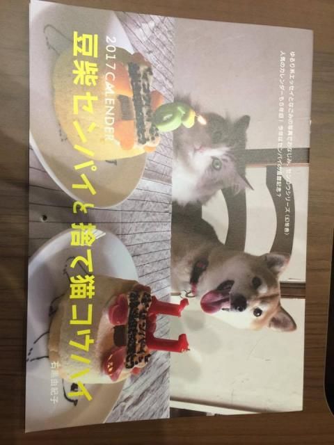 カワイイ「センパイ」犬と「コウハイ」猫に篠原ともえもメロメロ！