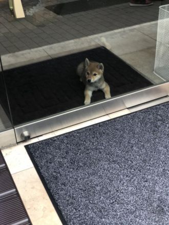 6月29日(火)今日の1コマ