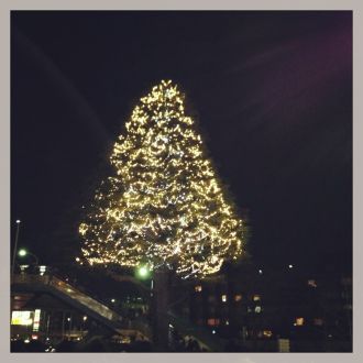 藤井悠のいただき＠カナやんクリスマスspecial！！