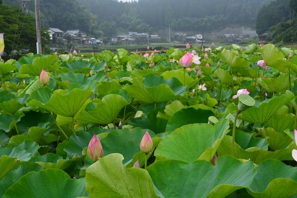 6月23日（火）今日の1コマ