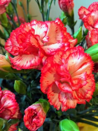 5月17日（水）今日の一コマ