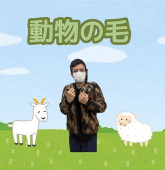 動物の毛