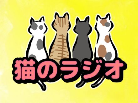猫のラジオ