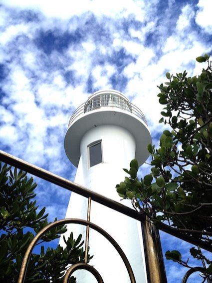 11月20日（金）今日の1コマ