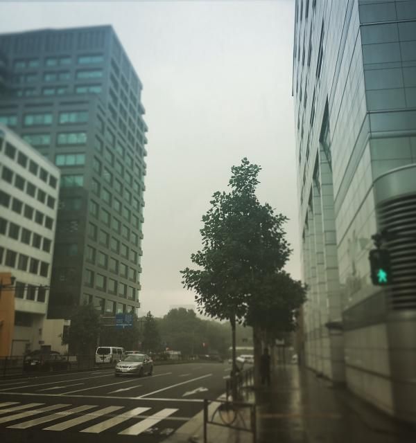 9月7日（水）simple style