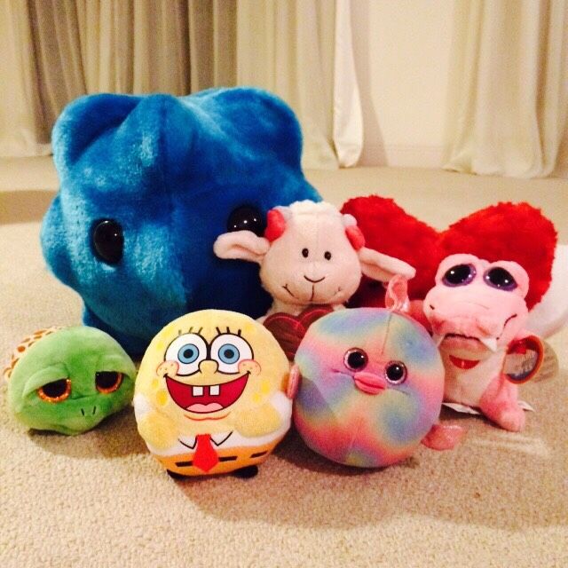 10月10日（月）今日の1コマ