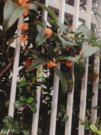 10月21日（月）　今日の1コマ　