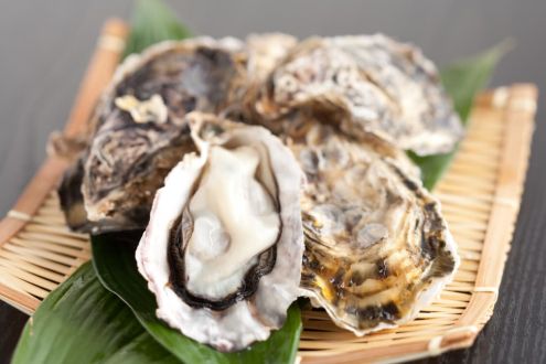 「広島の牡蠣殻再生プロジェクト」