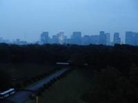 １１月７日（木）