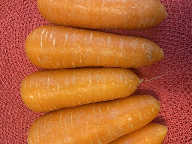 斉藤リョーツのいただき！キャロット