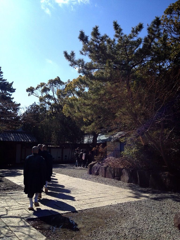 2月12日（木）今日の1コマ