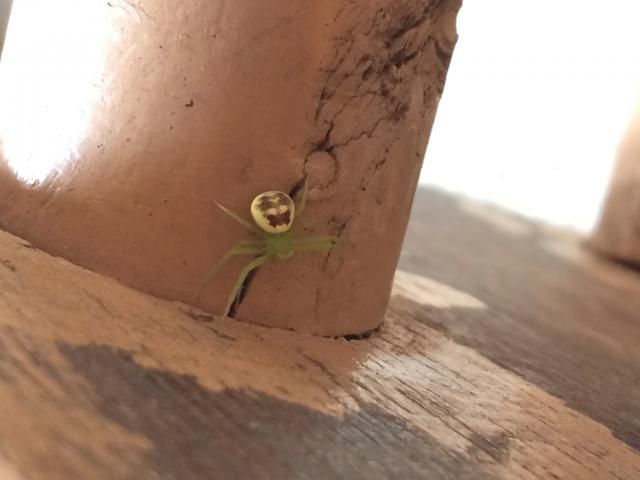 9月27日（火）今日の1コマ