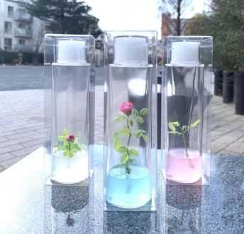 マーブルローズのお写真です♩