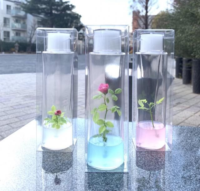 マーブルローズのお写真です♩