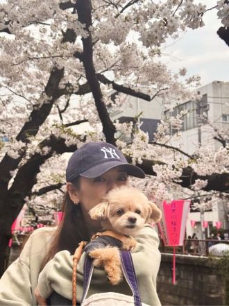 藤井悠のいただき！桜！