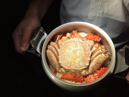 7月15日（水）担当：村上祐資