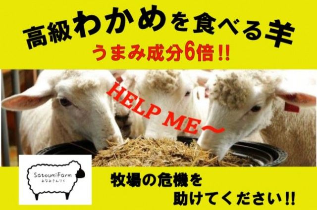 「震災をきっかけに生まれた南三陸わかめ羊を助けてください」