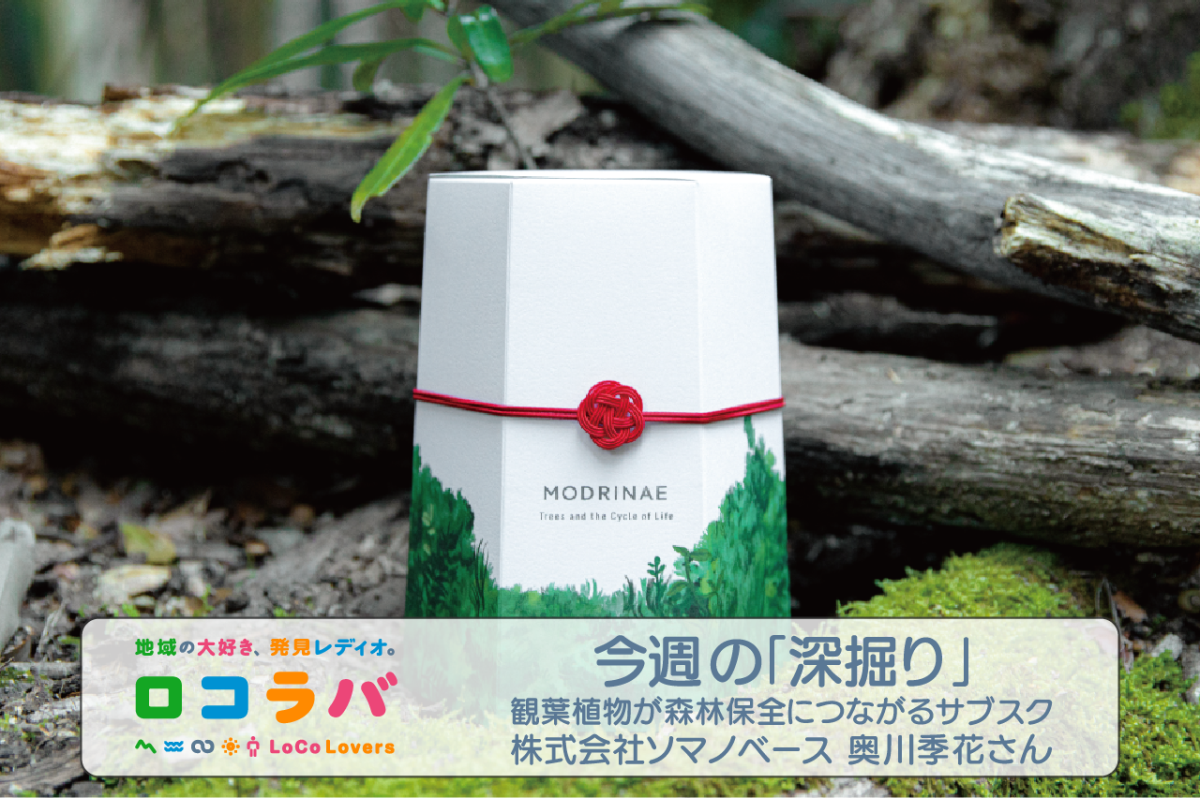 今週の「深掘り」 2022/8/28 ゲスト:奥川季花さん(株式会社ソマノベース)