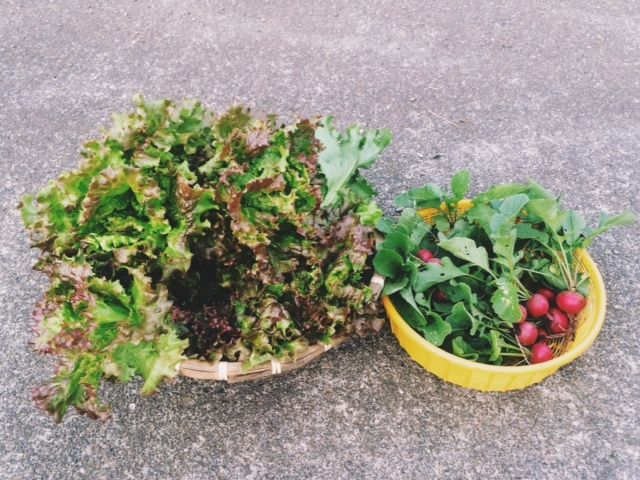 7月5日（火）今日の1コマ