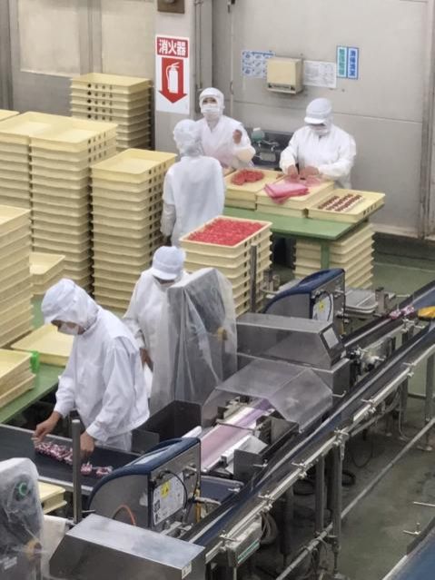 4月29日（水）今日の一コマ