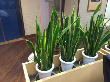 2015年11月23日（月）