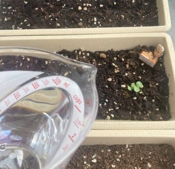 7月28日（水）今日の1コマ