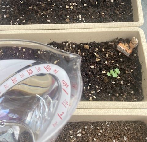 7月28日（水）今日の1コマ