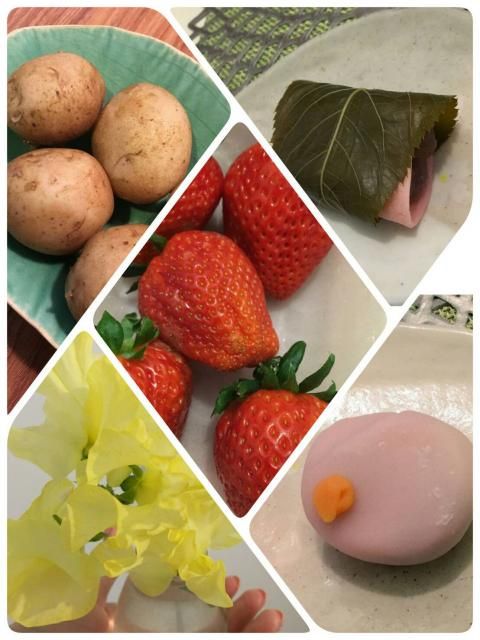 ２月２１日（火）Day by Day