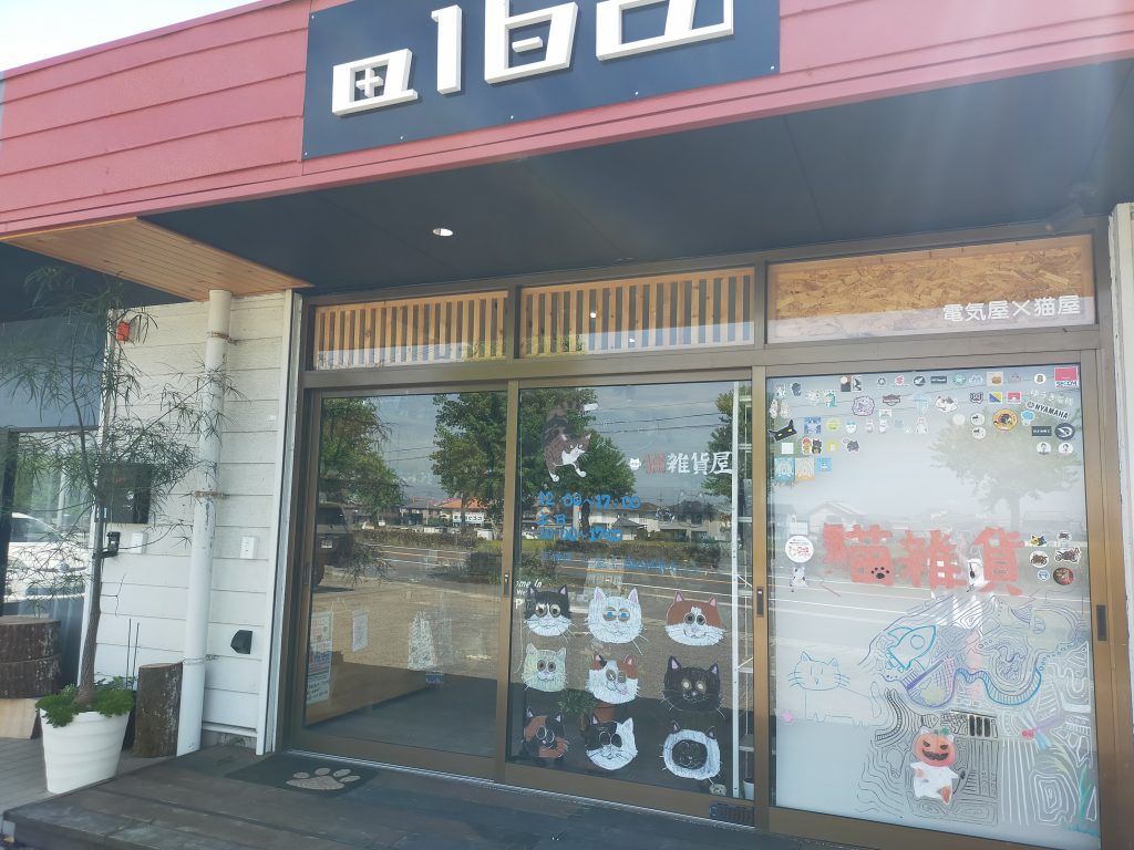 お宝ファイルNO.146　猫雑貨専門店　alba