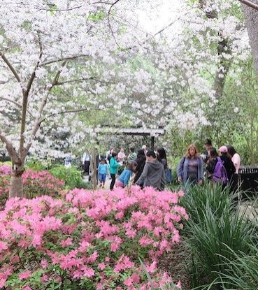 3月25日（水）オヒル ノオト
