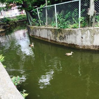 6月20日（火） 今日のメニューは？