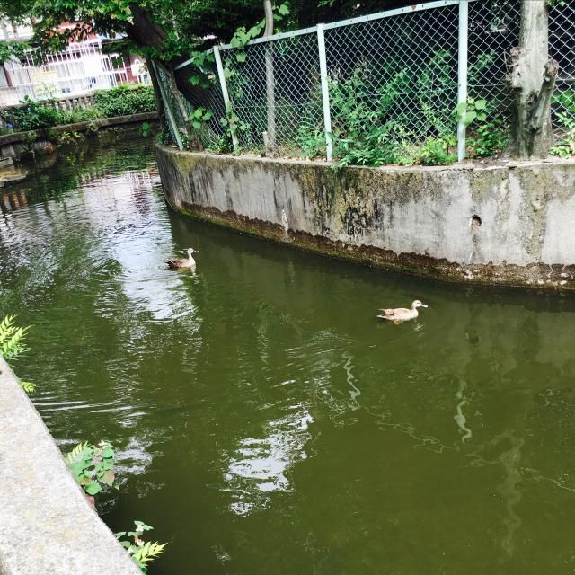 6月20日（火） 今日のメニューは？